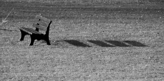 Czy BIBS jest zdrowy?