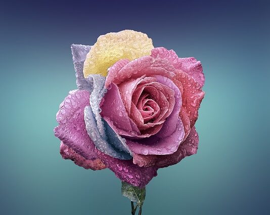 Czym się różni stempel od pieczątki?