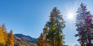 Czym zastąpić masę strukturalna?