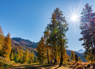 Czym zastąpić masę strukturalna? Czym zastąpić masę strukturalna?