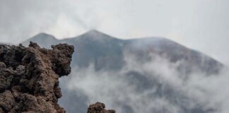 Czy lepszy jest usztywniany rożek?