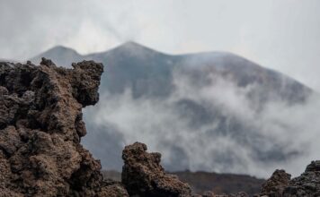Czy lepszy jest usztywniany rożek? Czy lepszy jest usztywniany rożek?
