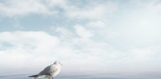 Jak uspokoić niemowlę w histerii?