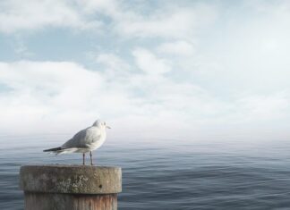 Jak uspokoić niemowlę w histerii?