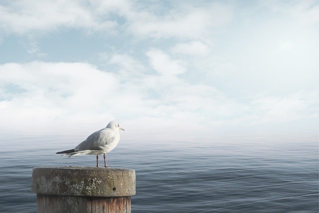 Jak uspokoić niemowlę w histerii?