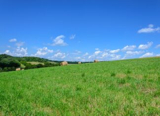 Co zrobić żeby dziecko wolniej jadło z butelki? Co zrobić żeby dziecko wolniej jadło z butelki?