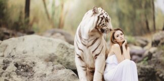 Co należy do środków ochrony zbiorowej?