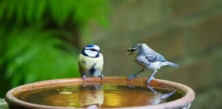 Ile mówi 3 letnie dziecko?