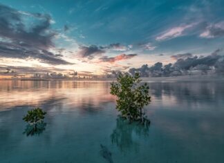 Dlaczego nowy narożnik skrzypi? Dlaczego nowy narożnik skrzypi?