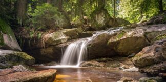 Jaka żywica do obrazów?