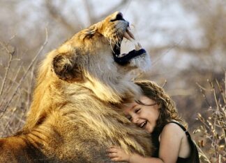 Jakie zabawy na Dzień Dziecka? Jakie zabawy na Dzień Dziecka?