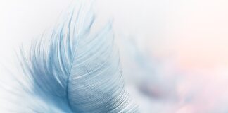 Czy wiatr porwie trampolinę?