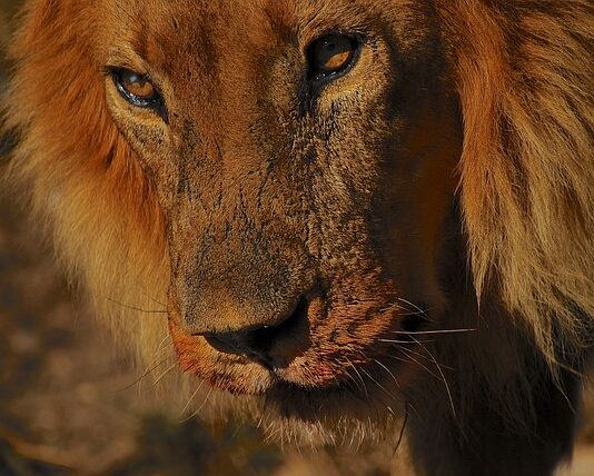 Jaka jest rekomendowana i najdokładniejsza metodą doboru ochronników słuchu? Jaka jest rekomendowana i najdokładniejsza metodą doboru ochronników słuchu?