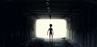 Jak zrobić czułki motyla?