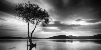 Ile GB ma city car driving?