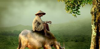 Jak zrobić strój pasterza na jasełka?