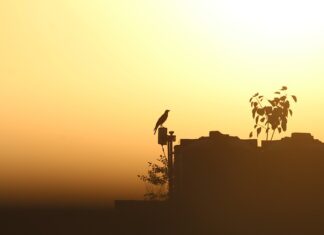 Do czego może doprowadzić nadmierne picie soków? Do czego może doprowadzić nadmierne picie soków?