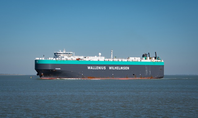 Na czym można zjeżdżać w zimie?