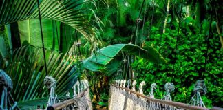 Ile trwa kurs do OSP?