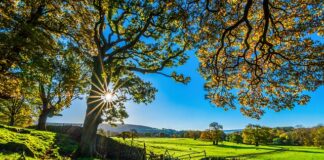 Jaki jest największy tor Hot Wheels?