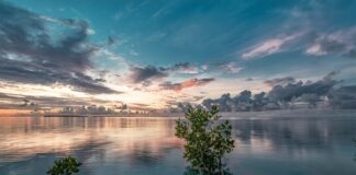 Czy narożnik musi stać w rogu?