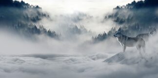 Gdzie z 2 latkiem zimą?