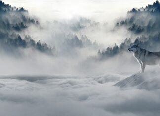 Gdzie z 2 latkiem zimą?